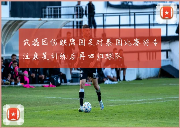 武磊因伤缺席国足对泰国比赛将专注康复训练后再回归球队